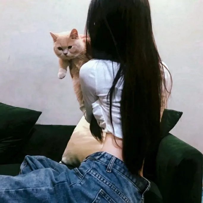活该你单身 封面